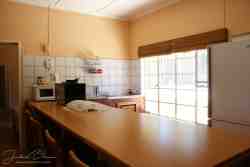 Pet Friendly Apartment Kitchen