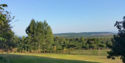 View from the terrace at the Barn