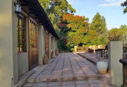 Terrace in front of Barn Rooms