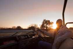 You can enjoy daily game drives in open safari vehicles 