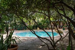 Pool area
