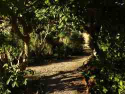 Montavigus B&B garden path