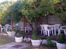 Enclosed, secluded, shady back garden deck with braai facilities 