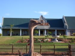 View of Mooiplaas Guest House