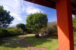 The view from Butterfly Garden Cottage