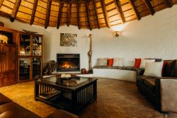 Library & Lounge Area