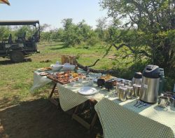 Breakfast in the bush
