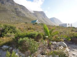 View from braai area
