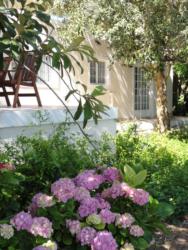 Tranquil Garden