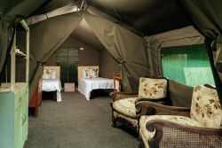 Safari Tents at Mount Park 2