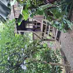 Self-catering Nature Log Cabin