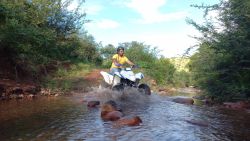 Quad Biking Available