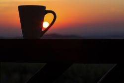 Early morning coffee from the deck of garden cottages