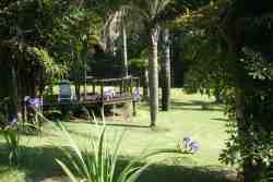 Tropical gardens with more than 10 species palms