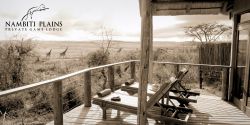 Room View