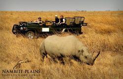 Game Drive