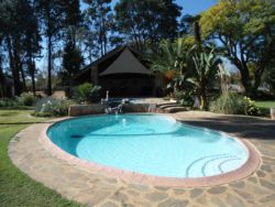 Pool and gazebo