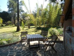 View from gazebo
