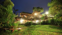 Ndiza back garden