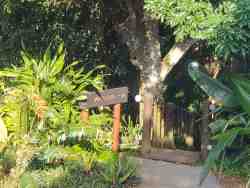Stairway to wetlands from garden