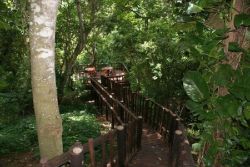 Deck in wetlands