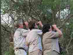 Great bird paths on the lodge property of 2.7km's