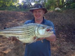 One of the only spots to catch these amazing Tigers in South Africa, here at our lodge
