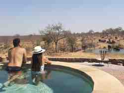 swimming pool with a view