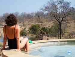 Watching giraffe walk by.