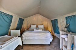 Tents