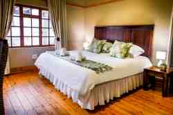 Room 3 - Queen room. Luxurious space and can fit an additional cot/stretcher on request.