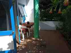 Blue crane outside garden patio
