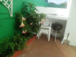 garden patio