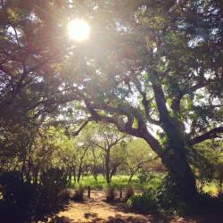 Welcome to the Lowveld