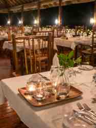 Restaurant I Dinner