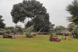 Communal Braai Area
