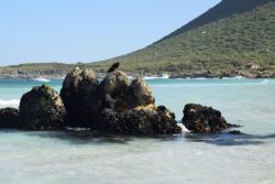 Lovely walk close to Pringle Bay