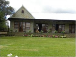 Summer garden