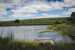 Fishing Dam