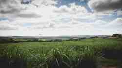 Farm Land