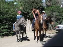Horse riding