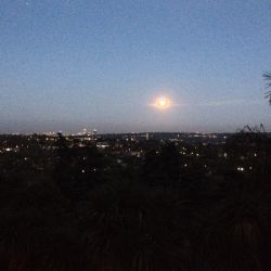 Moon from Over The Moon