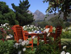 Tea Garden