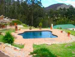 Swimming Pool Area