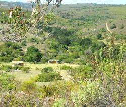 Tented Camp