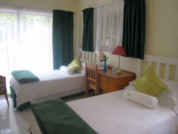 Forest Room