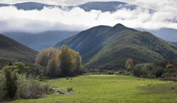 Pat Busch Reserve view