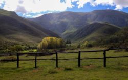 Pat Busch Reserve