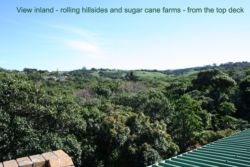 rolling hills, sugar cane fields and thickly wooded sub-tropical vegetation - view from roof deck
