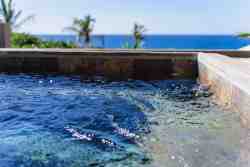 View from the swimming pool at Villa 3